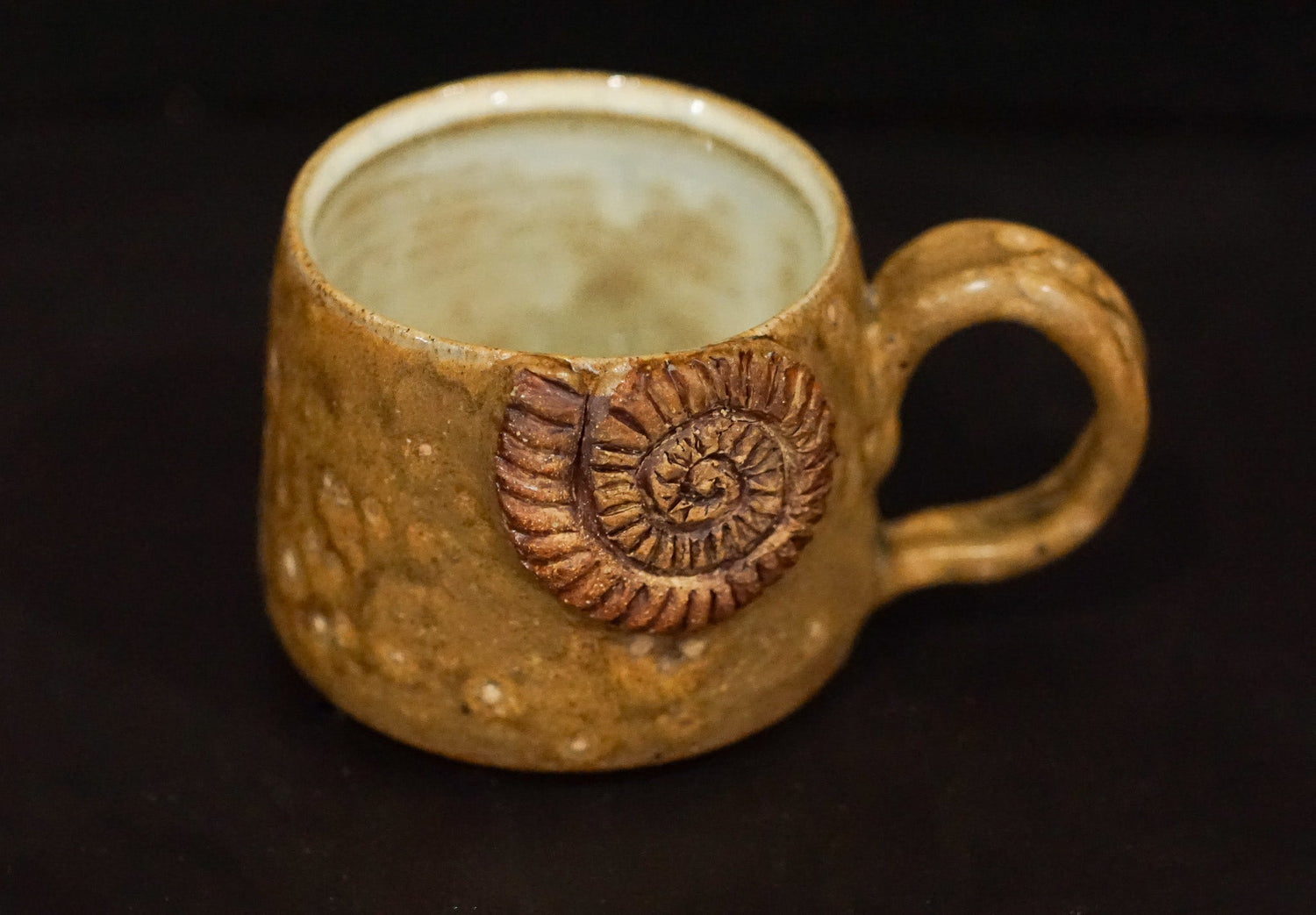 Fossils